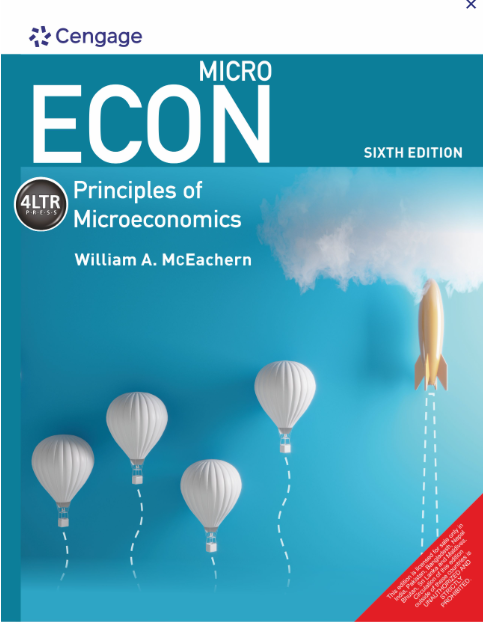MICRO ECON